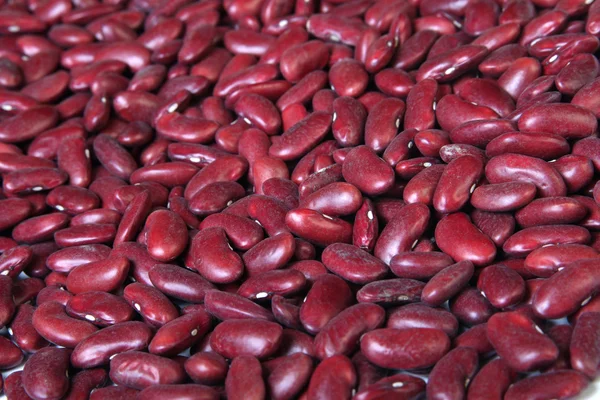 Red Kidney Beans — Stock Photo, Image