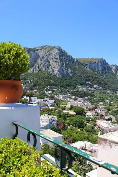 Capri — Foto Stock