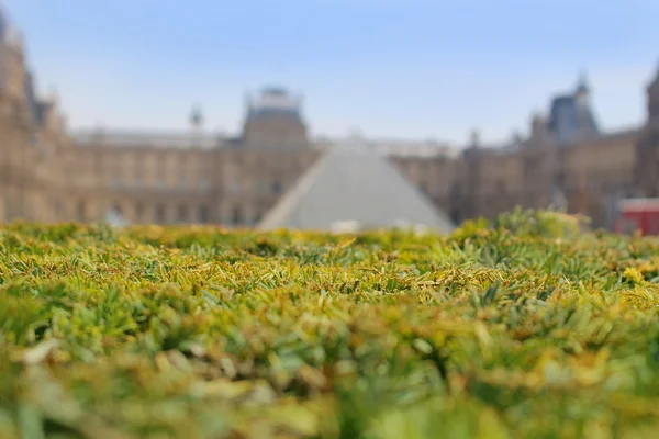 Muzeum Louvre — Stock fotografie