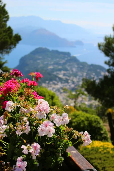 Capri — Foto Stock