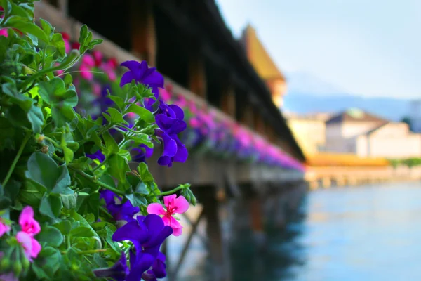 Chapel-bron, Luzern, Schweiz — Stockfoto