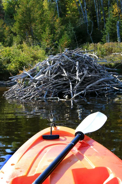 Faire du kayak au début de l'automne — Photo