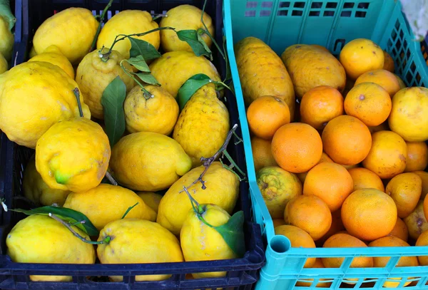 Lemons and oranges in baskets — Stock Photo, Image