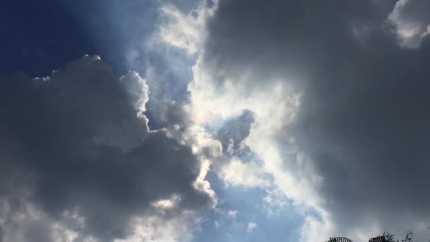 Awan putih besar dan biru — Stok Video