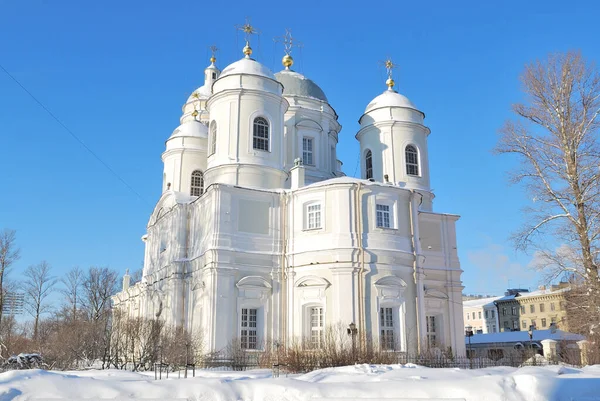 俄罗斯 圣彼得堡 在一个阳光灿烂的冬日 弗拉德米尔斯基主教座堂 — 图库照片