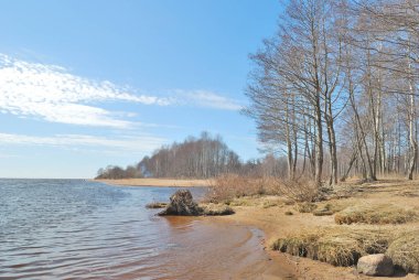 Baharda güzel bir park