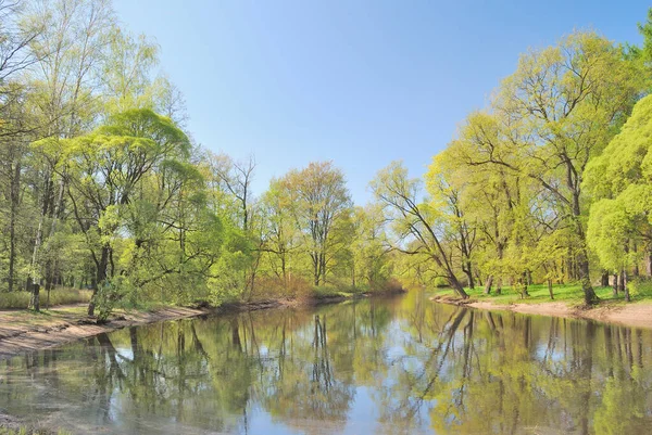 Güneşli Bir Günde Bahar Parkında Güzel Ağaçlar Göl — Stok fotoğraf
