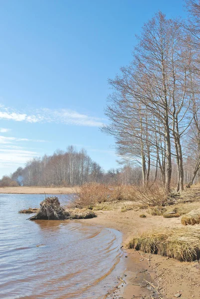 Beautiful Park Spring — Stock Photo, Image