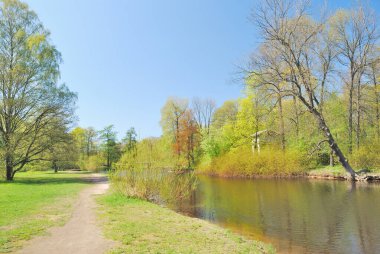 Güneşli bir günde bahar parkında güzel ağaçlar ve göl
