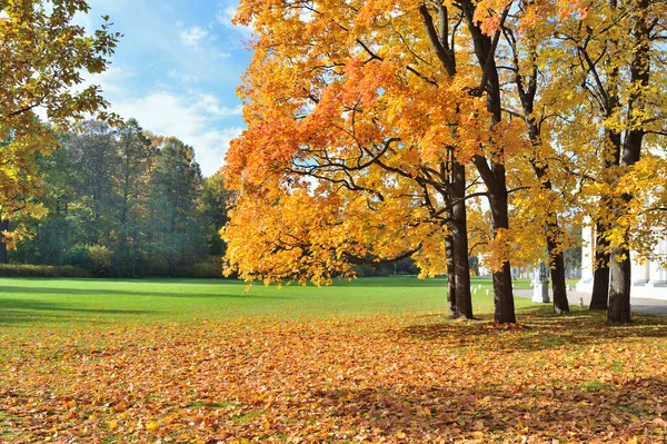 Sonbaharda Güzel Bir Park — Stok fotoğraf