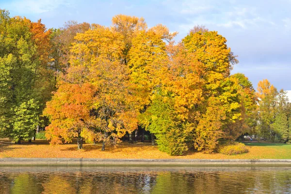 Sonbaharda Güzel Bir Park — Stok fotoğraf