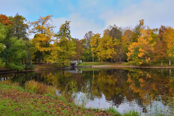 Золотая осень в парке — стоковое фото