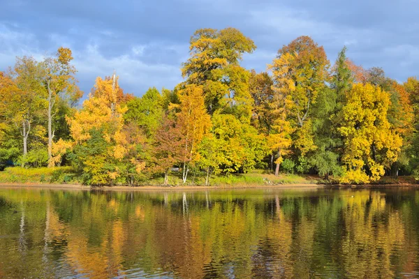 Höst i parken — Stockfoto