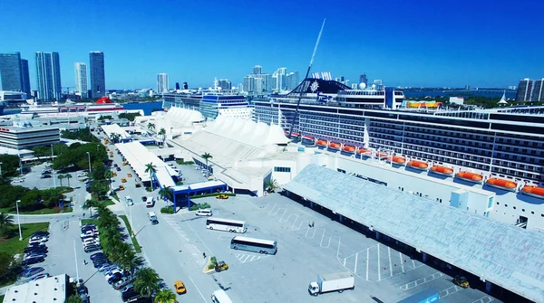 Miami - 27 februari 2016: Kryssningsfartyg i Miami hamn. Staden — Stockfoto