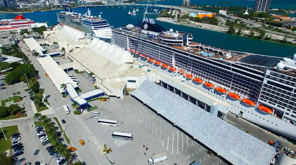 Miami - 27 februari 2016: Cruiseschepen in de haven van Miami. De stad — Stockfoto