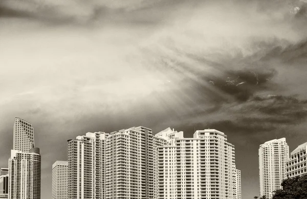 Černá a bílá letecký pohled na Miami Beach budov. Ptačí oko — Stock fotografie