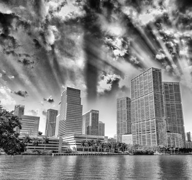 Miami şehir şehir manzaralı