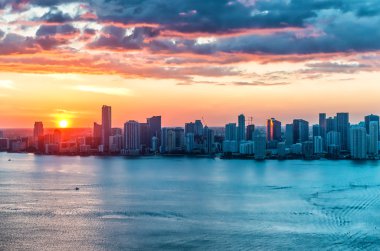 Miami downtown city view clipart