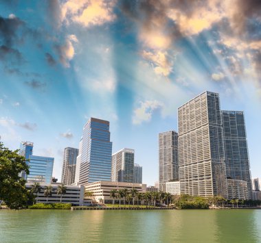 Miami şehir şehir manzaralı