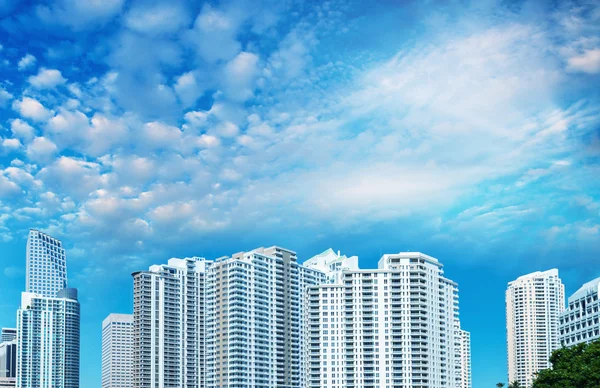 Miami downtown city view — Stock Photo, Image