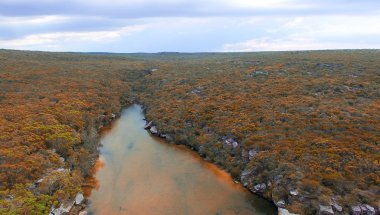 Royal National Park, Avustralya. Wattamolla plaj alanı