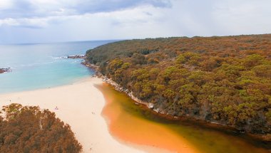 Royal National Park havadan görünümü, Nsw, Avustralya
