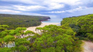 Royal National Park, Avustralya. Wattamolla plaj alanı