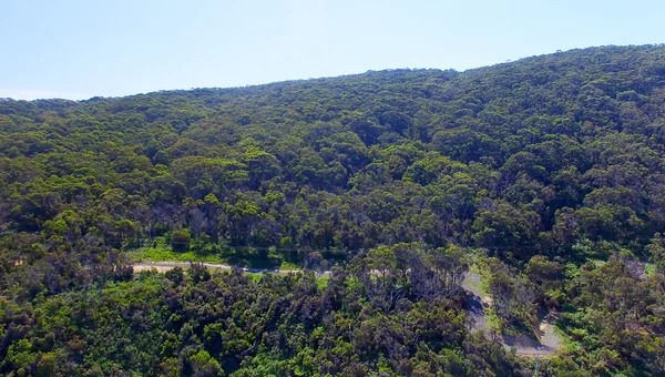 Το Great Ocean Road - Βικτώρια, Αυστραλία — Φωτογραφία Αρχείου