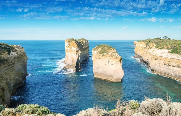 Kayalar ve Great Ocean Road, Victoria - Avustralya bitki örtüsü — Stok fotoğraf