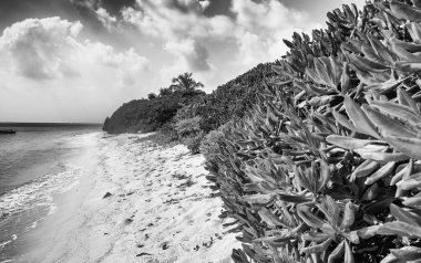 Maldivler güzel manzara