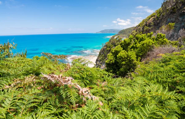 Rocce e vegetazione di Great Ocean Road, Victoria - Australia — Foto Stock