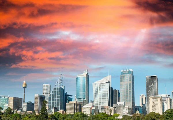 Wspaniały zachód słońca panoramę Sydney, Australia — Zdjęcie stockowe