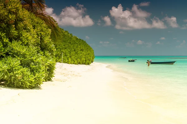 Beautiful colors of Maldives — Stock Photo, Image