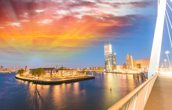 Rotterdam natt skyline, Nederländerna — Stockfoto