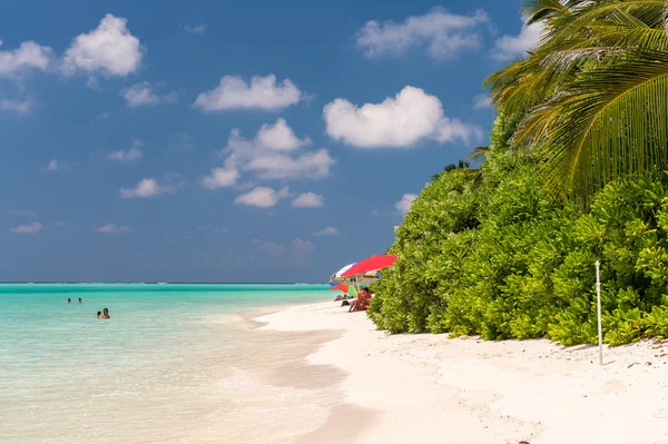 Maldivler güzel renkler — Stok fotoğraf