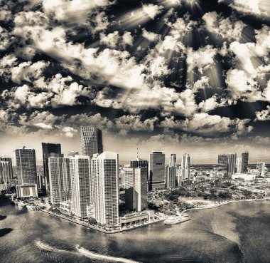 Miami şehir şehir manzaralı