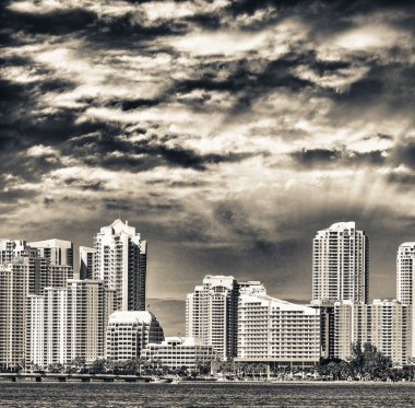 Miami şehir şehir manzaralı