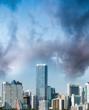 Miami şehir şehir manzaralı