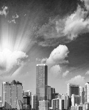 Miami şehir şehir manzaralı