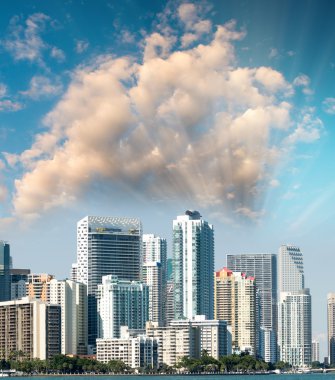 Miami şehir şehir manzaralı