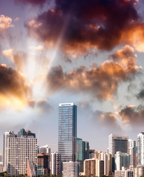 Miami şehir şehir manzaralı