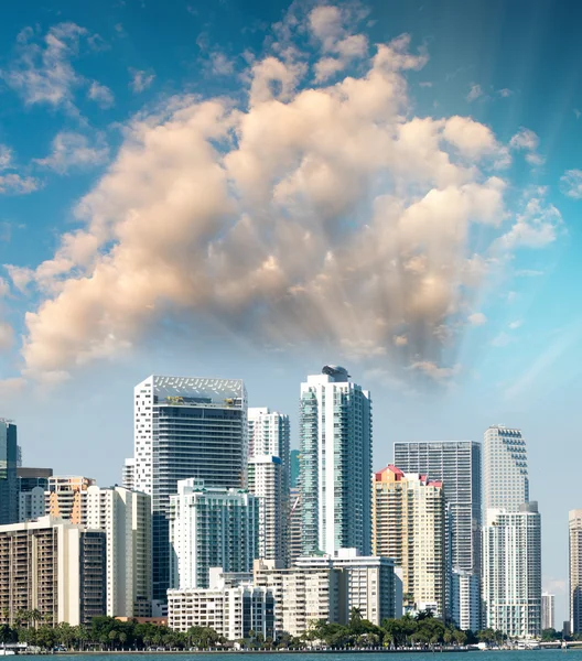 Miami centro ciudad vista — Foto de Stock