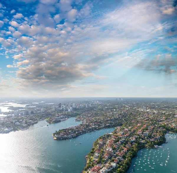 Sydney city panorama — Stock Photo, Image