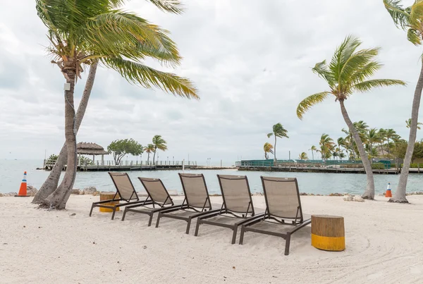 Coast of Keys Islands, Islamorada — Stock Photo, Image