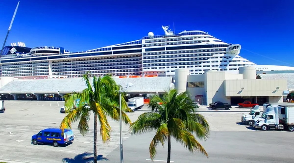 Miami - 27 februari 2016: Cruiseschepen aangemeerd in de haven van Miami. Th — Stockfoto