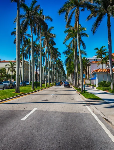 Gyönyörű utcái, a Palm Beach, Florida — Stock Fotó