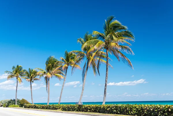 Pobřeží Palm Beach, Florida — Stock fotografie