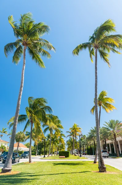 Küste von Palmenstrand, florida — Stockfoto