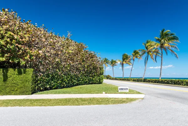 Küste von Palmenstrand, florida — Stockfoto