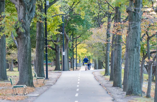 Park en straat in de herfst — Stockfoto